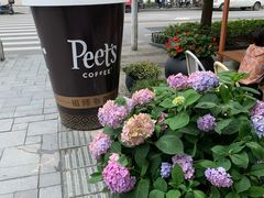 -Peet's Coffee皮爷咖啡(大学路店)