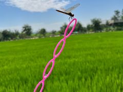 -稻梦空间冰雪小镇