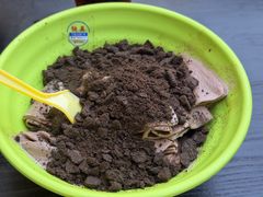 -铁真·刨冰红焖羊肉·正宗老字号