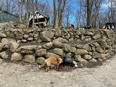 -宫城藏王狐狸村