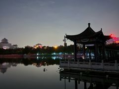 -莲花池公园