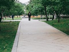 -长春公园(普阳街道)