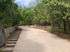 -阳台山自然风景区