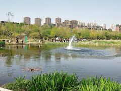 -前关湿地公园