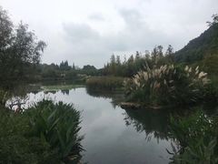 -贵阳市花溪国家城市湿地公园