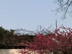-杭州植物园