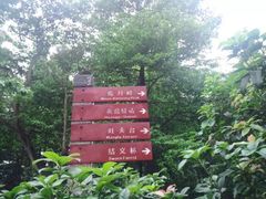 -广州市帽峰山景区