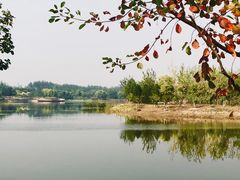 -东郊湿地公园