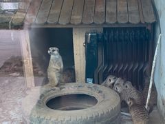 -西安秦岭野生动物园