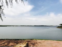 景点-丁香湖公园
