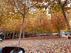 -兰陵国家农业公园