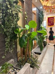 -芳朵美容养生SPA