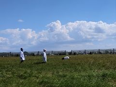 -盐城丹顶鹤湿地生态旅游区