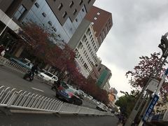 -昆明动物园