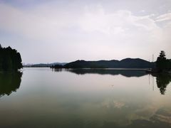 -东湖落雁景区