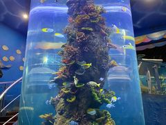 -西安曲江海洋极地公园