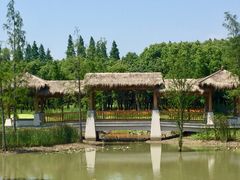 -同里国家湿地公园