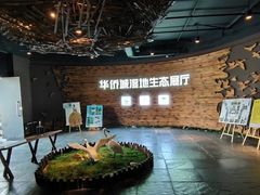 -华侨城湿地公园