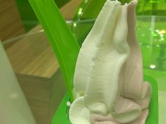 -Salud撒露欧洲冻酸奶(蓝色港湾店)