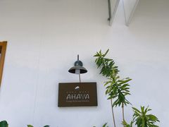 -AHAVA·Fang Baking Studio