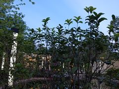 -江门恒大泉都