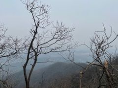 -紫金山山顶公园