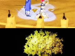 -鼎盛王朝康熙大典实景演出