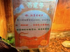 -上海大自然野生昆虫馆