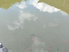 -芥子园