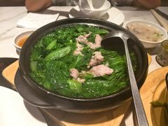 农家土猪肉浸菜青-滋粥楼·顺德菜(番禺广场总店)