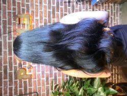 小p老师-pstyle造型(五道口梦想店)-P.STYLE 派斯造型