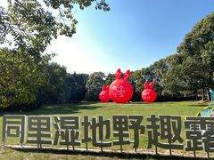 -同里国家湿地公园