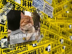 -无牌咖啡&酒馆