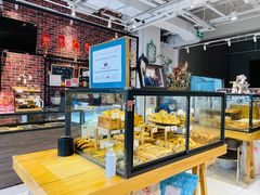 -熊叔熊婶面包房(团结湖店)