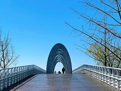 -大兴滨河森林公园