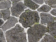 -海口火山口国家地质公园