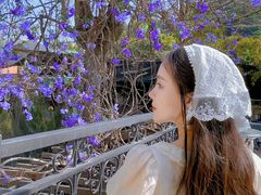 -Lamant Manor已闻花名关於蓝