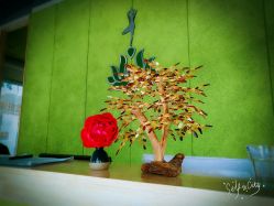 点击看大图 -一花一叶瑜伽生活馆