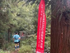 -四明山国家森林公园