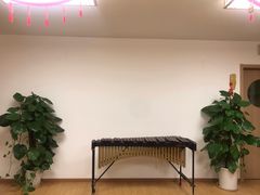 -音歆国艺馆·民乐培训(双榆树店)