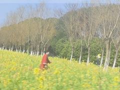 -艾溪湖湿地公园