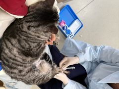-中国农业大学动物医院