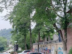 -桃源山庄·水蜜桃采摘·柴火鸡·烧烤团建(龙泉山店)