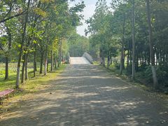 -上海海湾国家森林公园