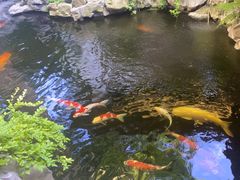 -鲤院·新中式美学·庭院餐厅(夫子庙店)