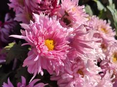 景点-沈阳中山公园