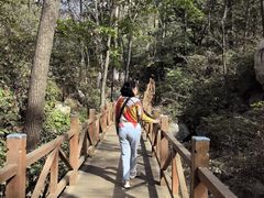 -大岭沟猕猴桃谷风景区