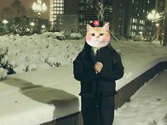 -河南财经政法大学(郑东校区)
