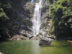 -鼎湖山风景区