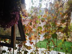 景观位-周家二小姐的菜(西津渡店)